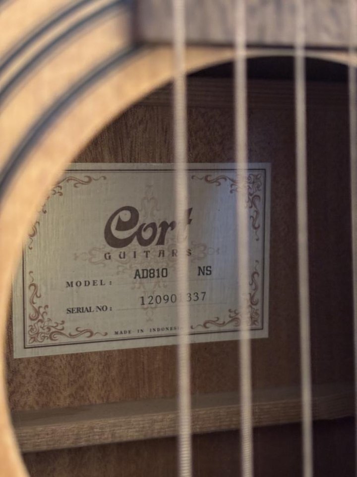 Gitarr: Cort AD810