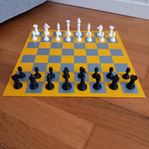 Schack spel.  Chess. 31 x 31 cm