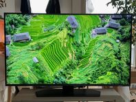 Premium-TV! Samsung 43” Neo QLED 4K i toppskick