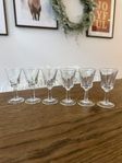 Snapsglas 6st Vintage Starkvinsglas 