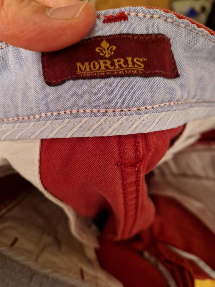 morris chinos 