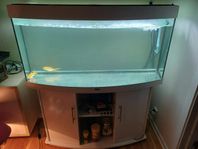 Juwel aquarium 270L