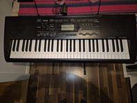 Casio CTK-3000