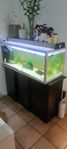 200L akvarium med all utrustning plus extra 