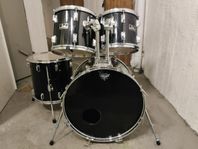 Pearl Export series