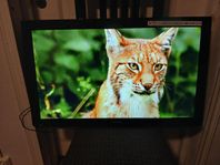 32" LCD TV 