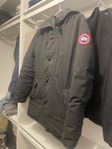 Canada Goose herrjacka (S) 