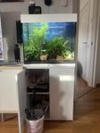 Akvarium Juwel Lido 120 med möbel