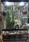 Exo Terra X-tall  Terrarium - 60x45x90cm