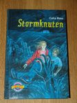 Ungdomsbok: Stormknuten av Celia Rees