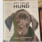 Att välja hund - Hitta rätt hund för just dig 