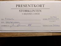 Presentkort skipass Storklinten 