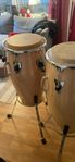 Congas LP, MEINL