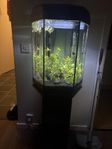 Akvarium 60 liter 