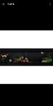 2st terrarium TERAPOD Slim Black 48"