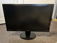 BenQ 24” GL2450