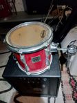 Vintage Yamaha Power V Special 10"