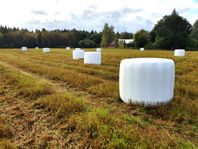 Hösilage storbal