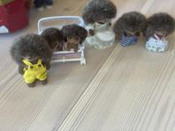 Hedgehog family, Sylvanian families