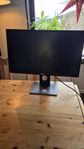 Dell Monitor 24#