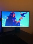 Asus 240 hz 24,5 tum RGB aura