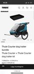 Thule Courier + hundkit