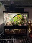 Exoterra 30x30x30 Terrarium