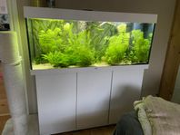 juwel rio 240 komplett akvarium med allt 