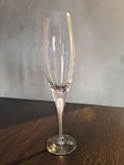 6 st Intermezzo Satin Champagneglas Orrefors 1a sortering