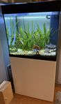 Akvarium Juwel Lido 120 liter