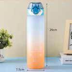 1L Gradient Color Water Bottle - Leak Proof & Stylish Design