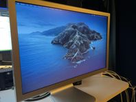 Apple Cinema Display (20-inch DVI)