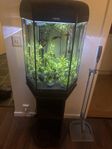 Akvarium 60L