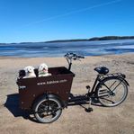 BabboeDog lastcykel