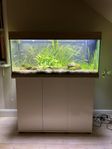 Akvarium Juwel 180 liter