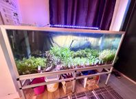 Akvarium 560 Liters