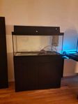 180L Akvarium + Möbel, filter & ljus