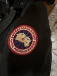 Canada Goose cheatue parka (S)