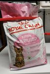 Royal Canin kitten   Sterilised 