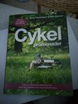 Cykel promenader i Stockholm (bok)