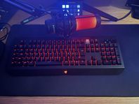 Razer Blackwidow Chroma V2 tangentbord (Orange Switches)