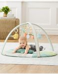 Skip Hop Garden Oasis babygym