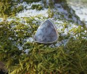 Dendritic Agate och Silver Ring