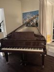 Flygel Marshall & Rose Baby Grand Piano 