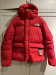 Ny North Face RMST HMLYN PRKA str M