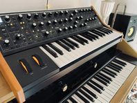 Moog Subsequent 37