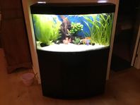 akvarium Juwel 180 liter