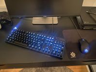 Logitech Gaming tangentbord och en Steelseries Gaming mus 