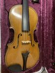 Fiol violin Maggini