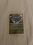 Basic Rayquaza Pokemon Kort